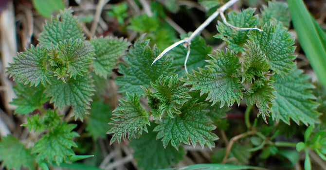 Spring has sprung! Time to clean ourselves up. image