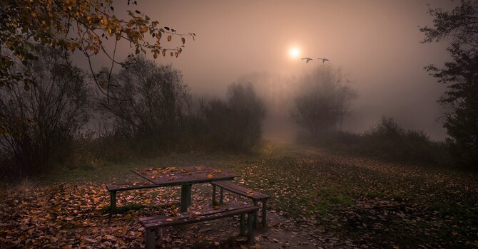 SEASON OF DEATH and GRATITUDE image