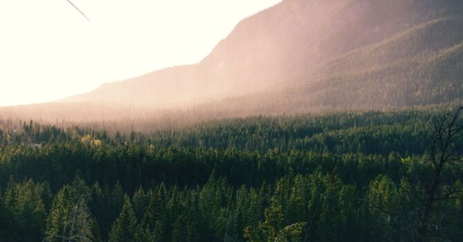 PRESENTS or PRESENCE? image