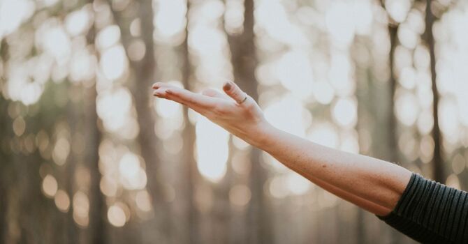 Spring Time Detox image