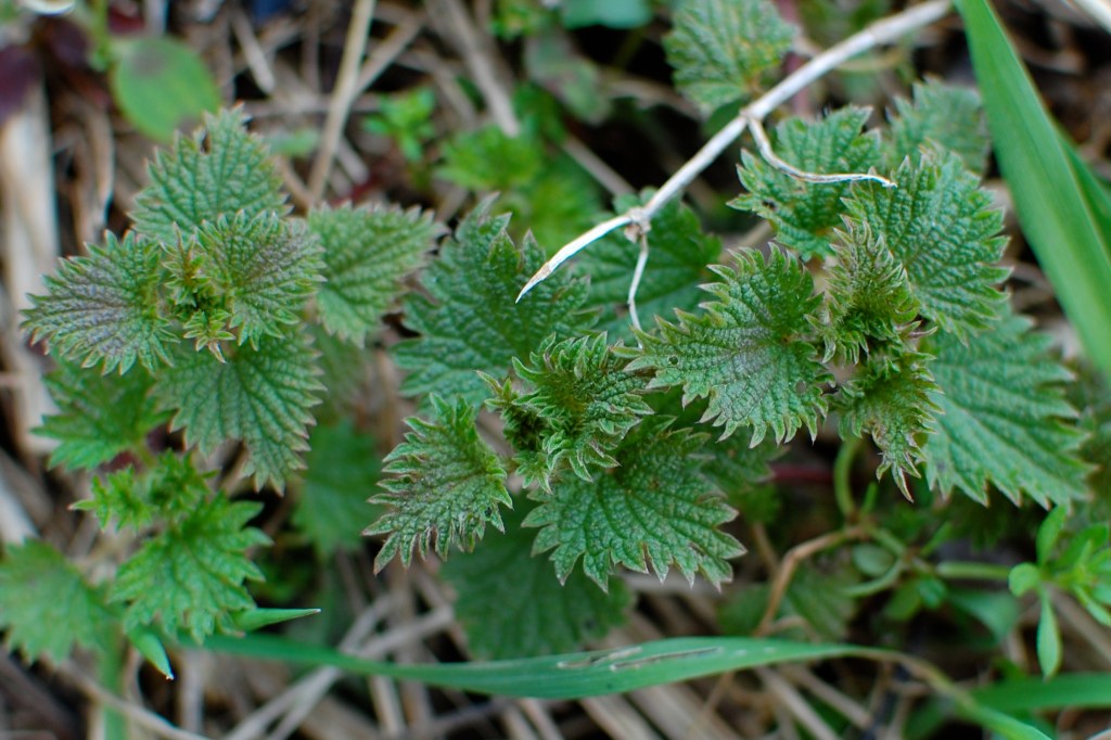 Spring has sprung! Time to clean ourselves&nbsp;up.
